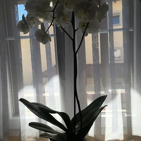 Au P'tit Bonheur Cheseaux-sur-Lausanne