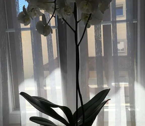 オー プティ ボヌール Cheseaux-sur-Lausanne